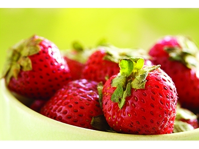 在地有機市集-其他