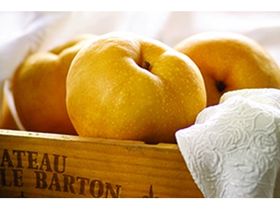 在地有機市集-其他