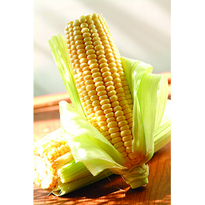 玉米