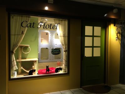 小臭貓Cat Hotel-undefined