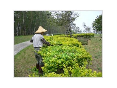 綠世界環境事業有限公司-景觀工程