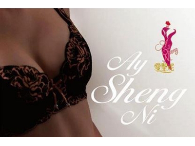 妮可麗內衣有限公司-內衣褲