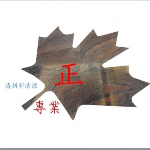 清新新清潔有限公司-undefined