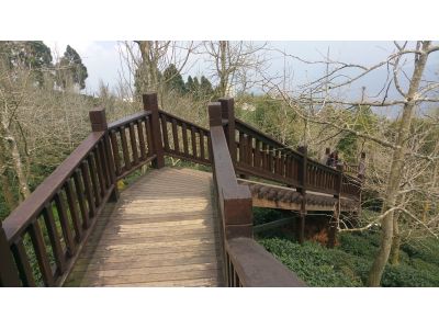 武柚農場-undefined