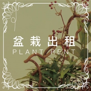 植物的家園藝有限公司-園藝器具資材