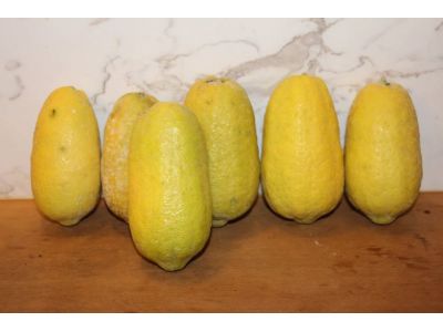 東海萊姆園-undefined