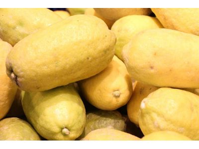 東海萊姆園-undefined