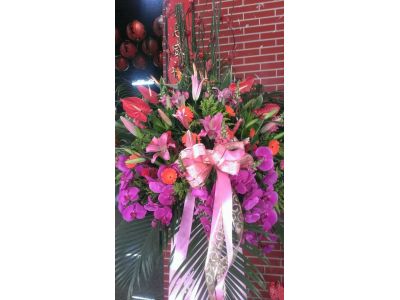 正發企業社-undefined