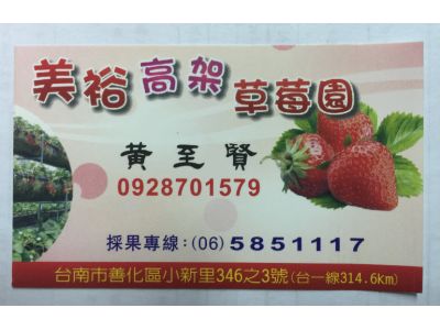 美裕高架草莓園-undefined