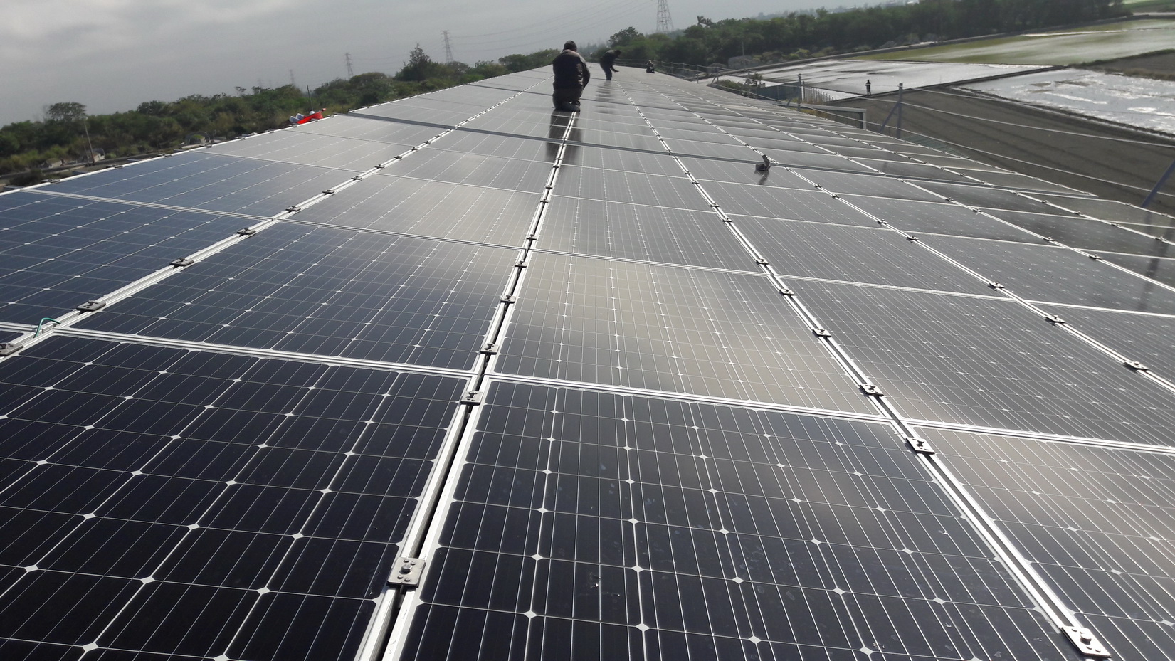 禽畜舍屋頂型太陽能建構-2