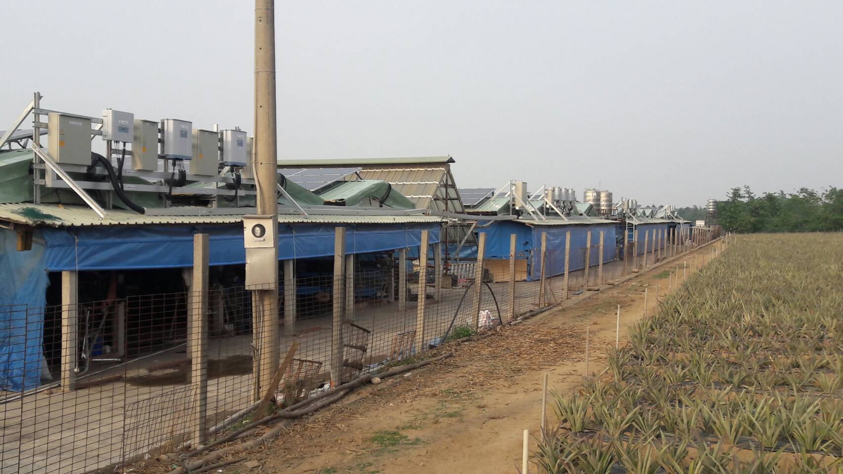 古坑崁腳村雞舍屋頂太陽能-2