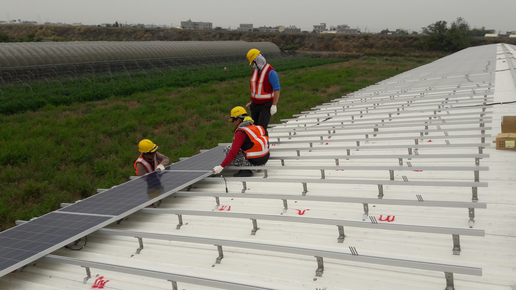 雞舍屋頂太陽能施工-1