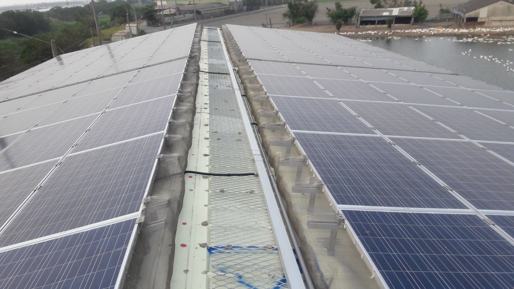 東勢蘇先生鴨舍屋頂太陽能施工-2