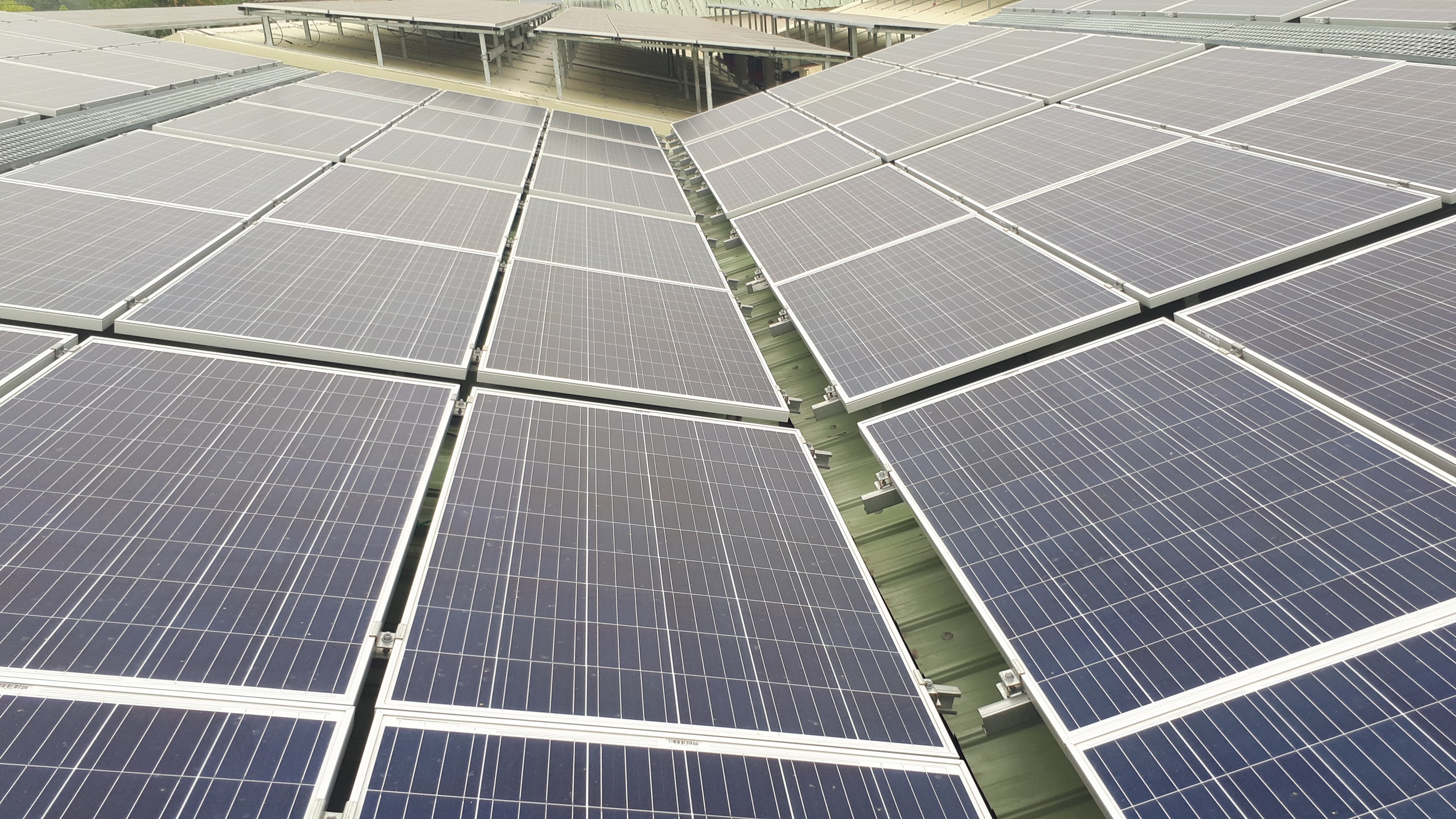 斗六茗源食品(45號)太陽能-6