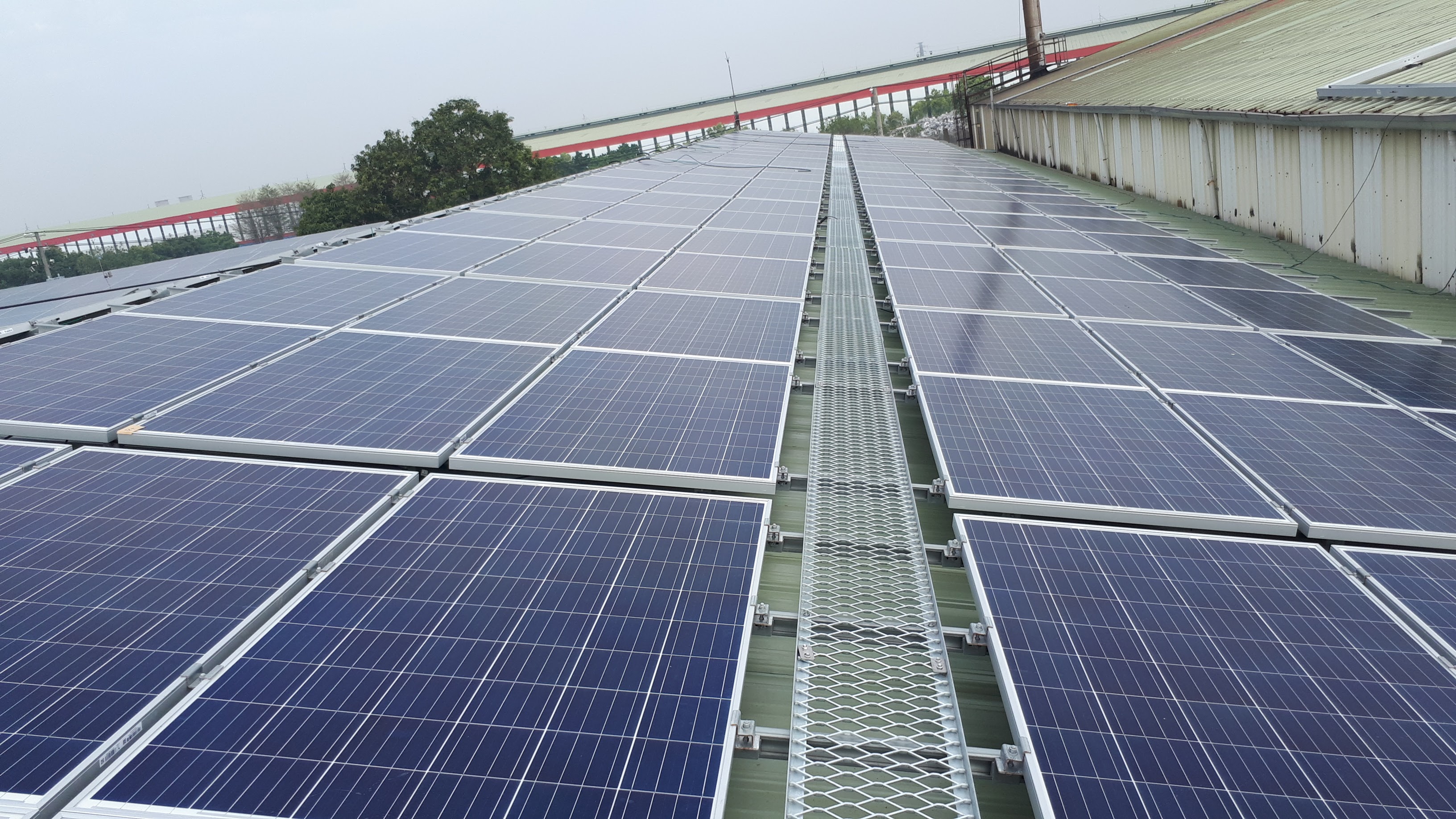 斗六茗源食品(51號)太陽能-3