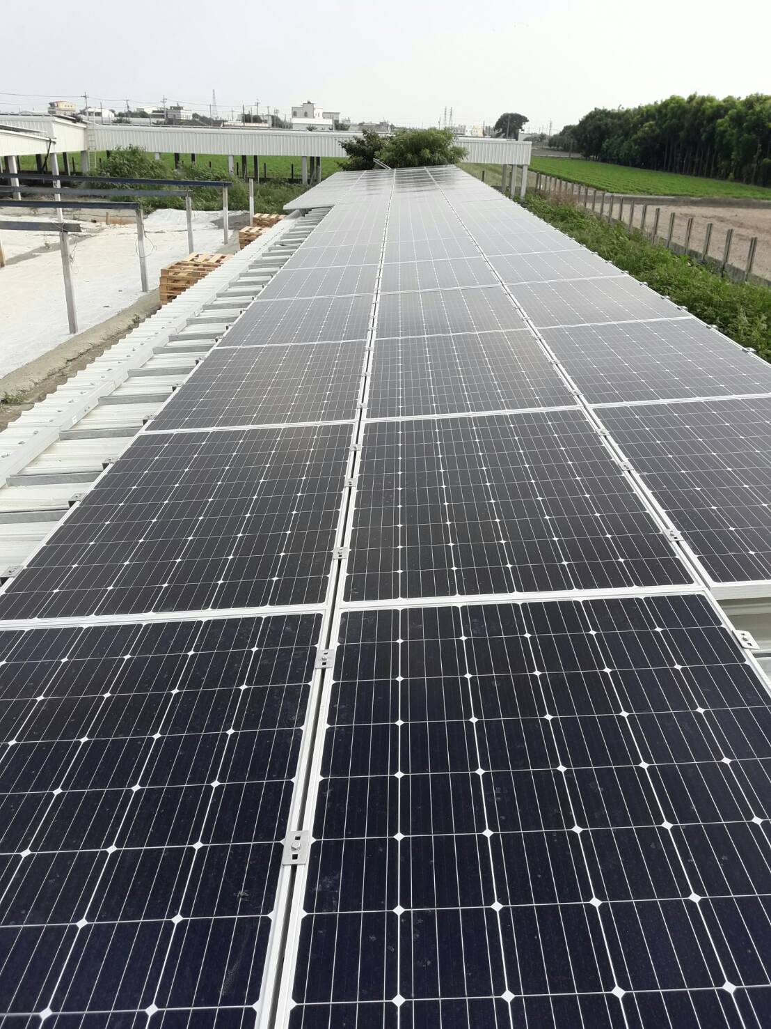 元長頂寮村-鴨舍(62號)-5