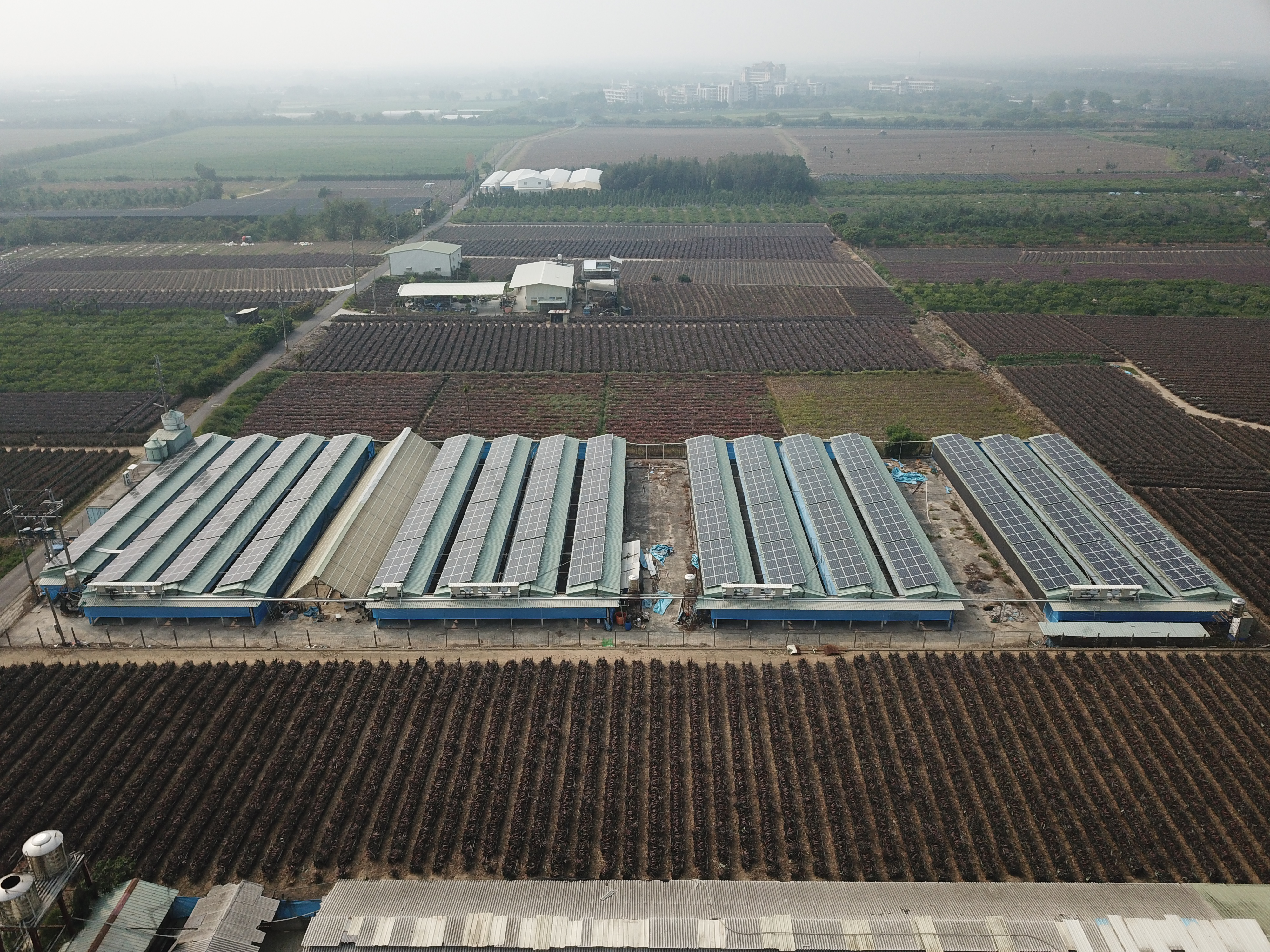 古坑崁腳村雞舍屋頂太陽能-7