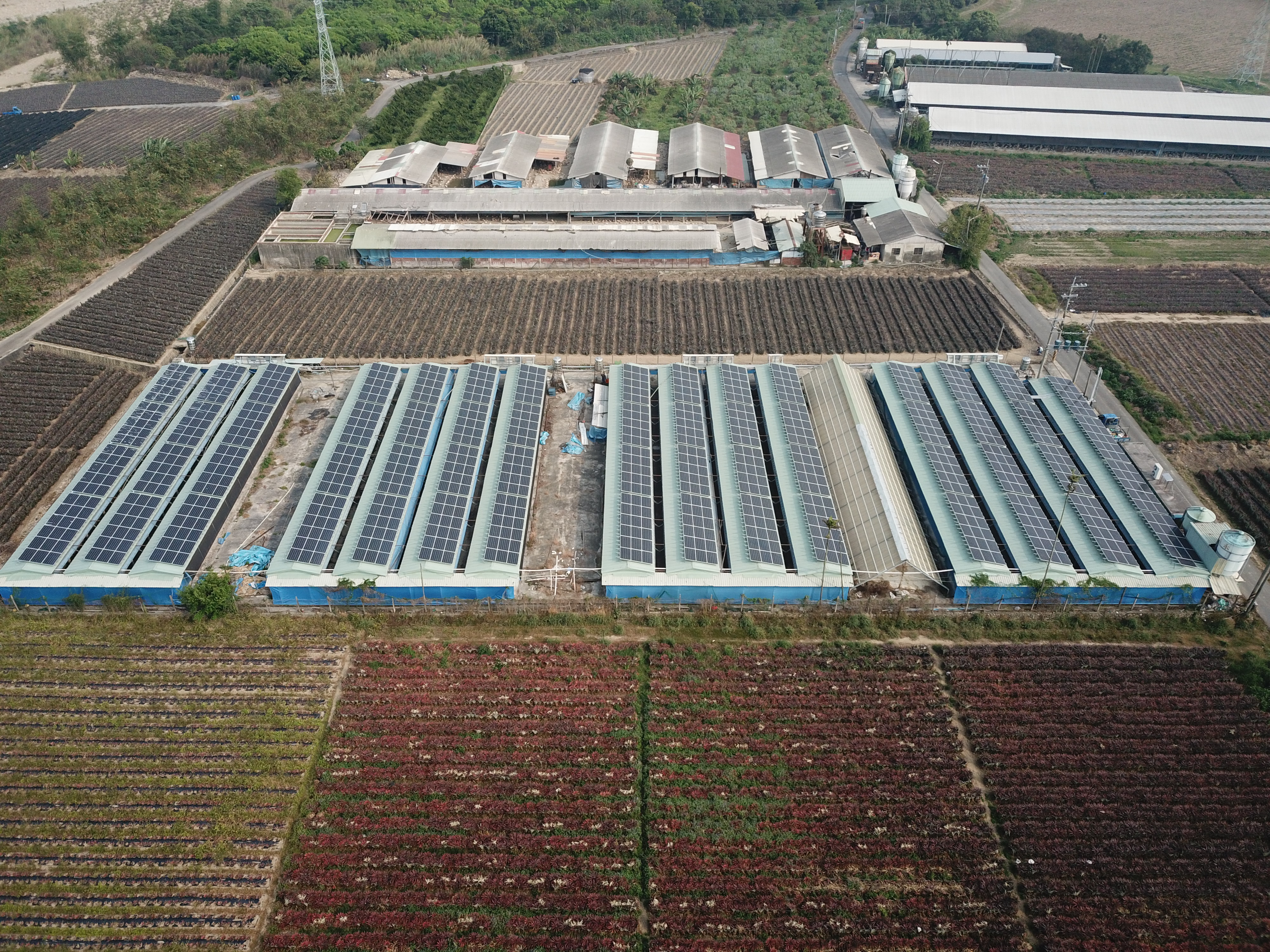 古坑崁腳村雞舍屋頂太陽能-6