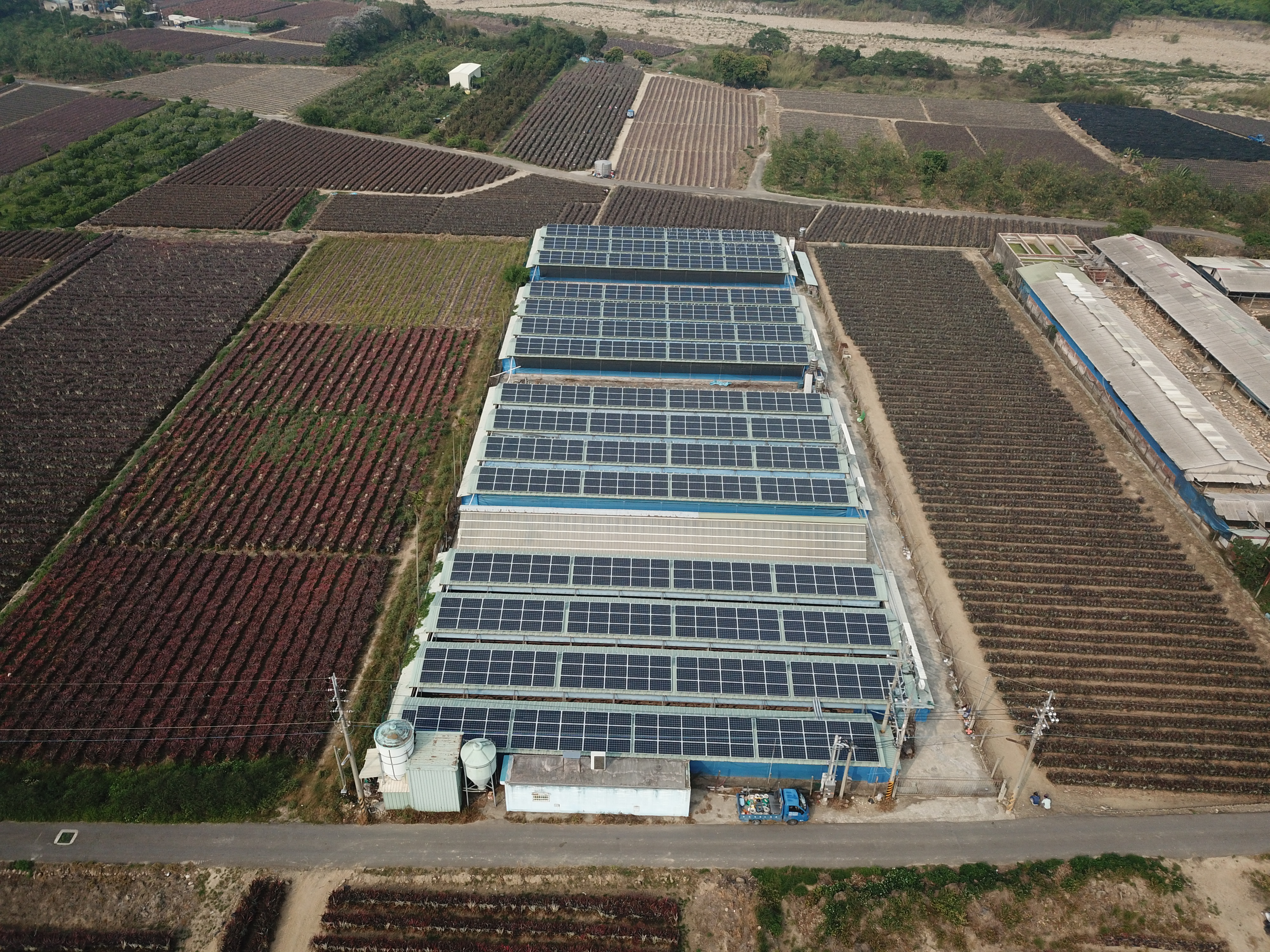 古坑崁腳村雞舍屋頂太陽能-5