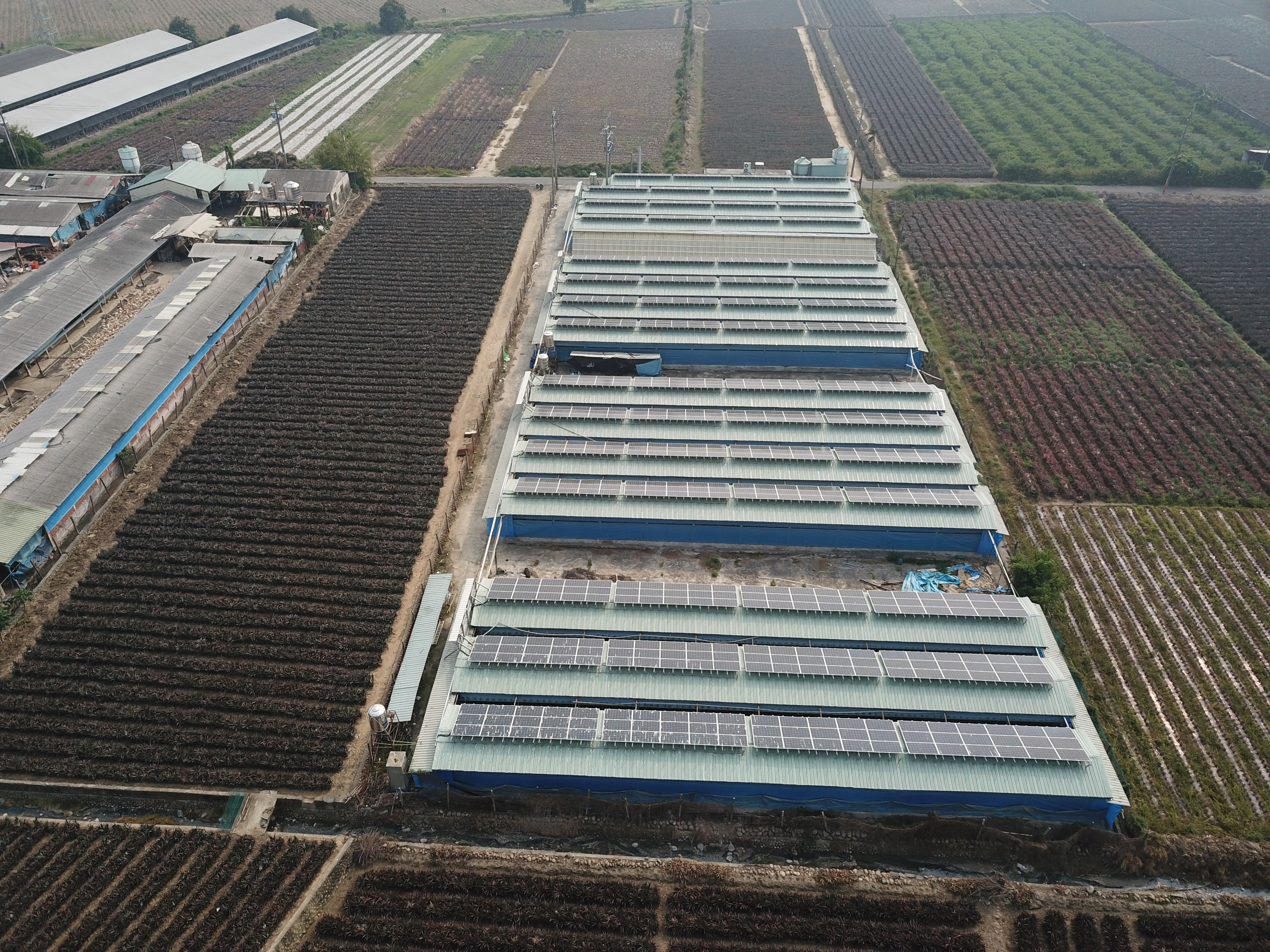 古坑崁腳村雞舍屋頂太陽能-8