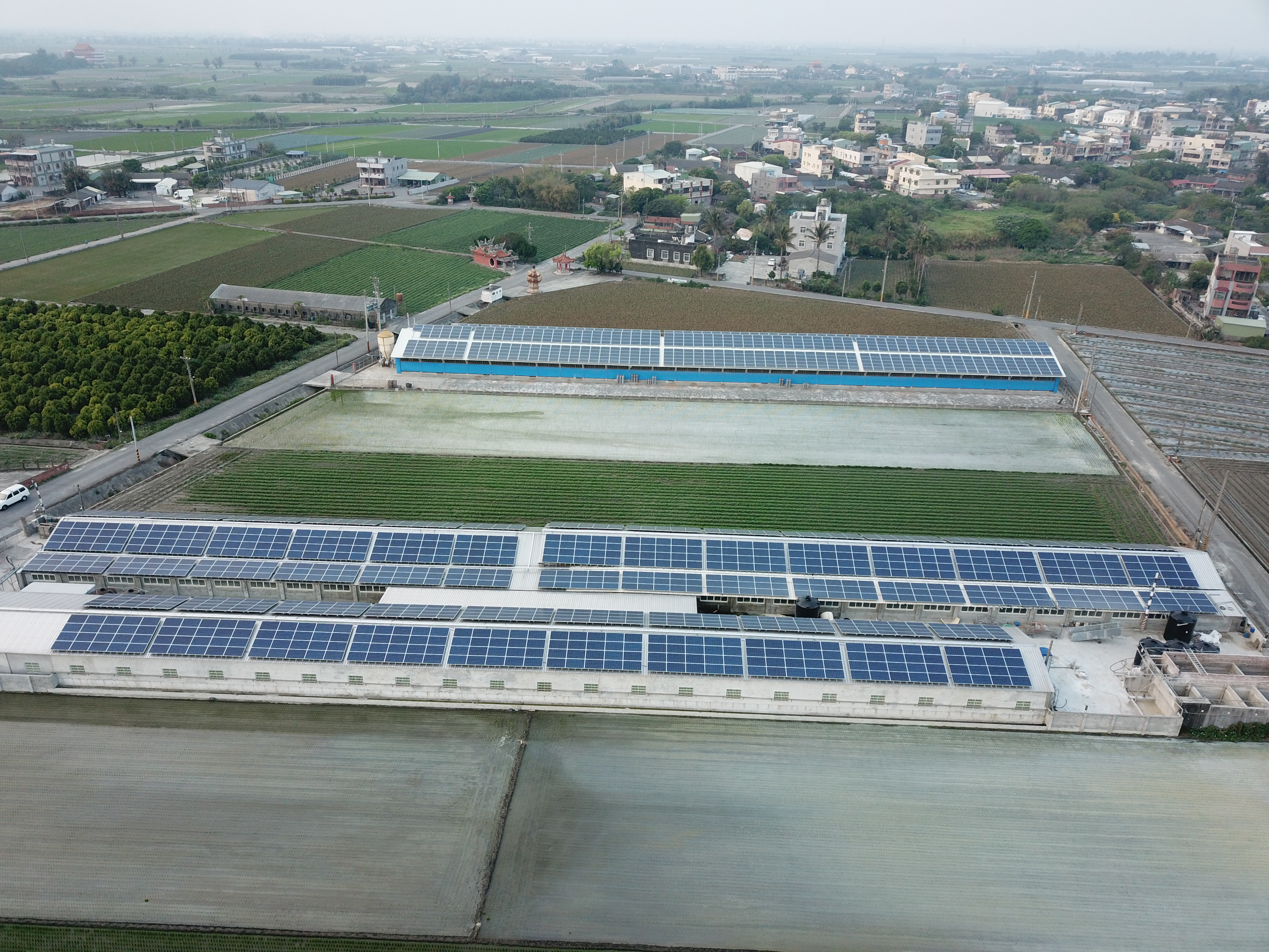 水林牛挑灣豬舍太陽能-3