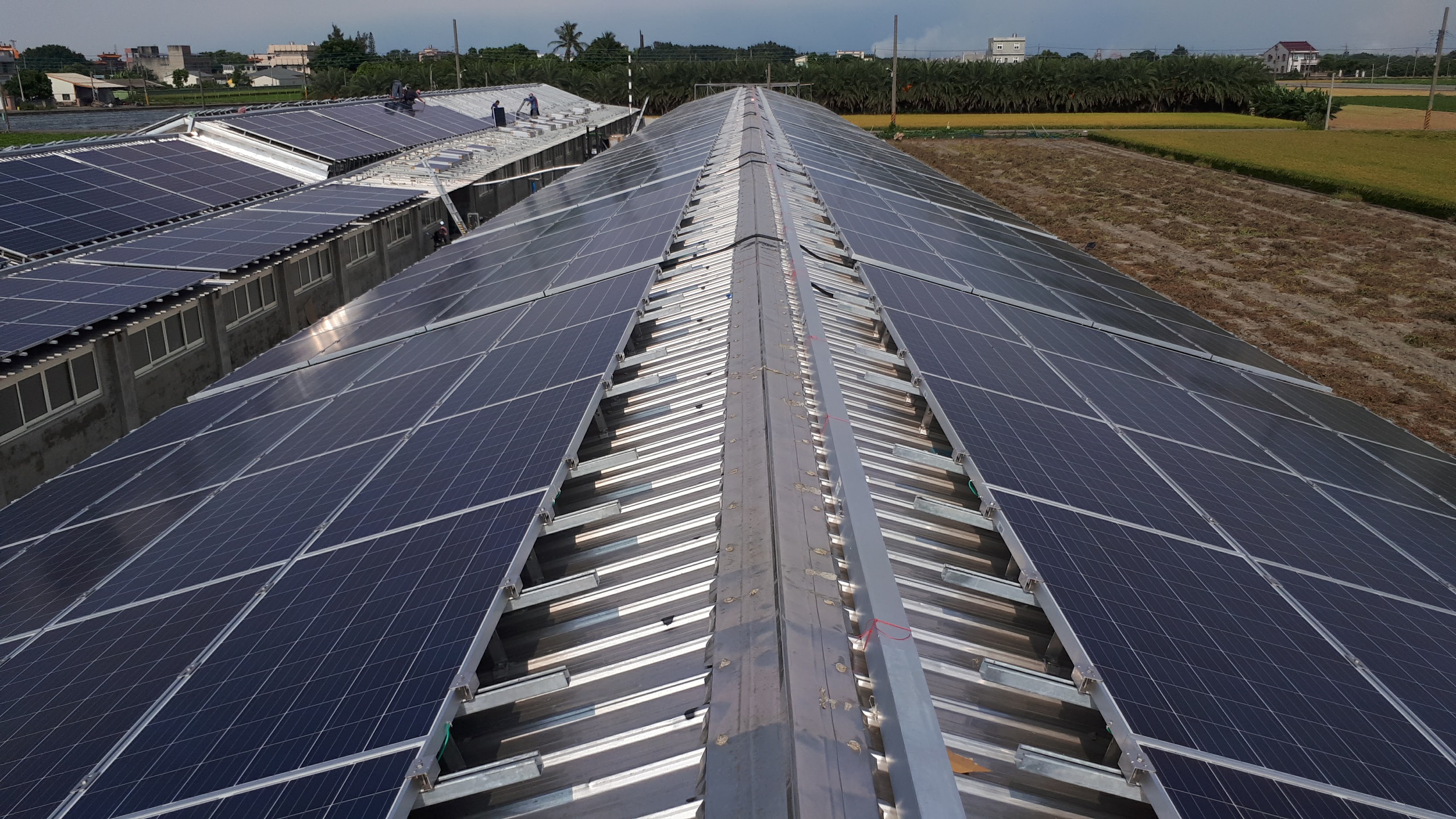 水林牛挑灣豬舍太陽能-6