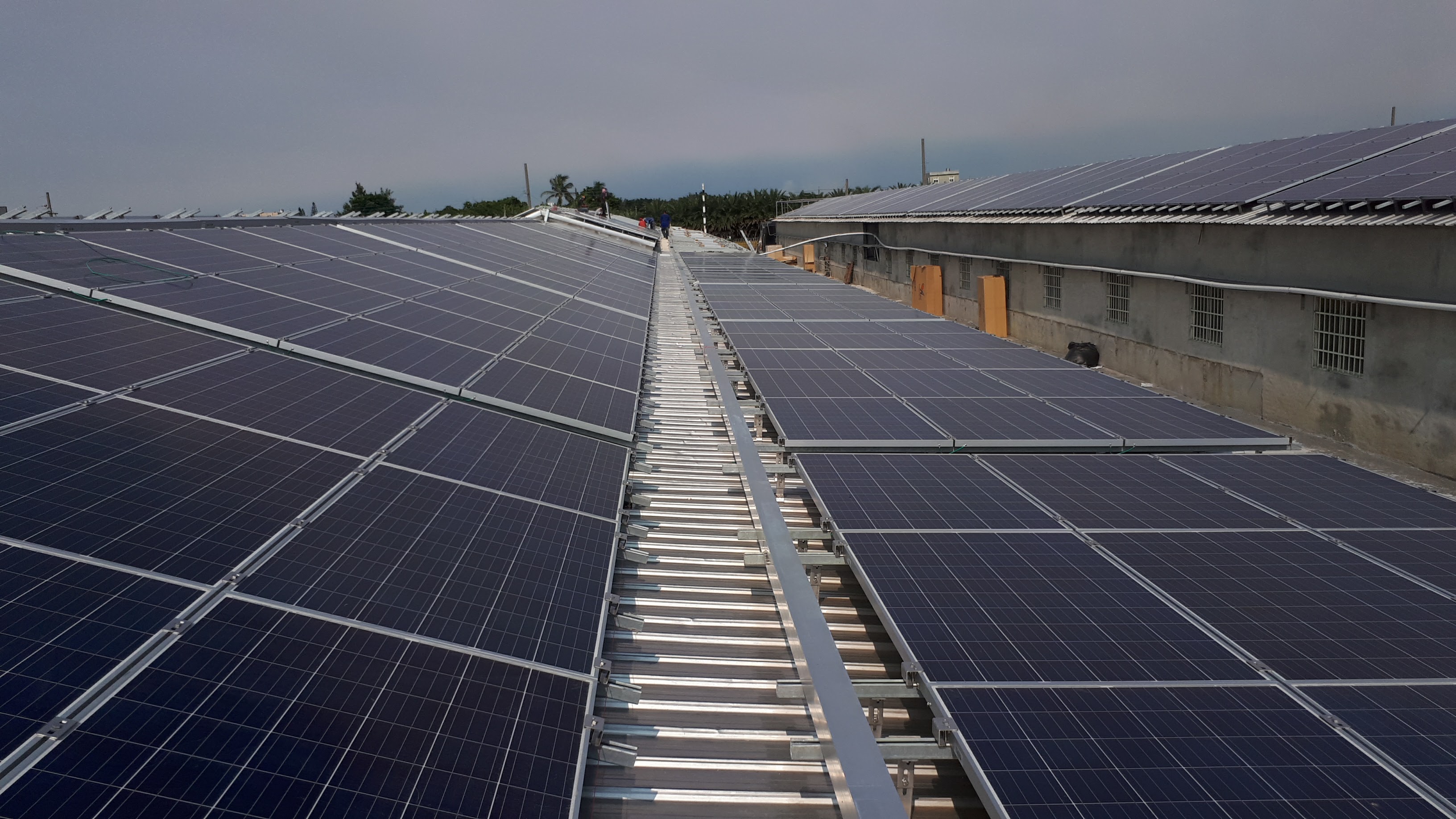 水林牛挑灣豬舍太陽能-7