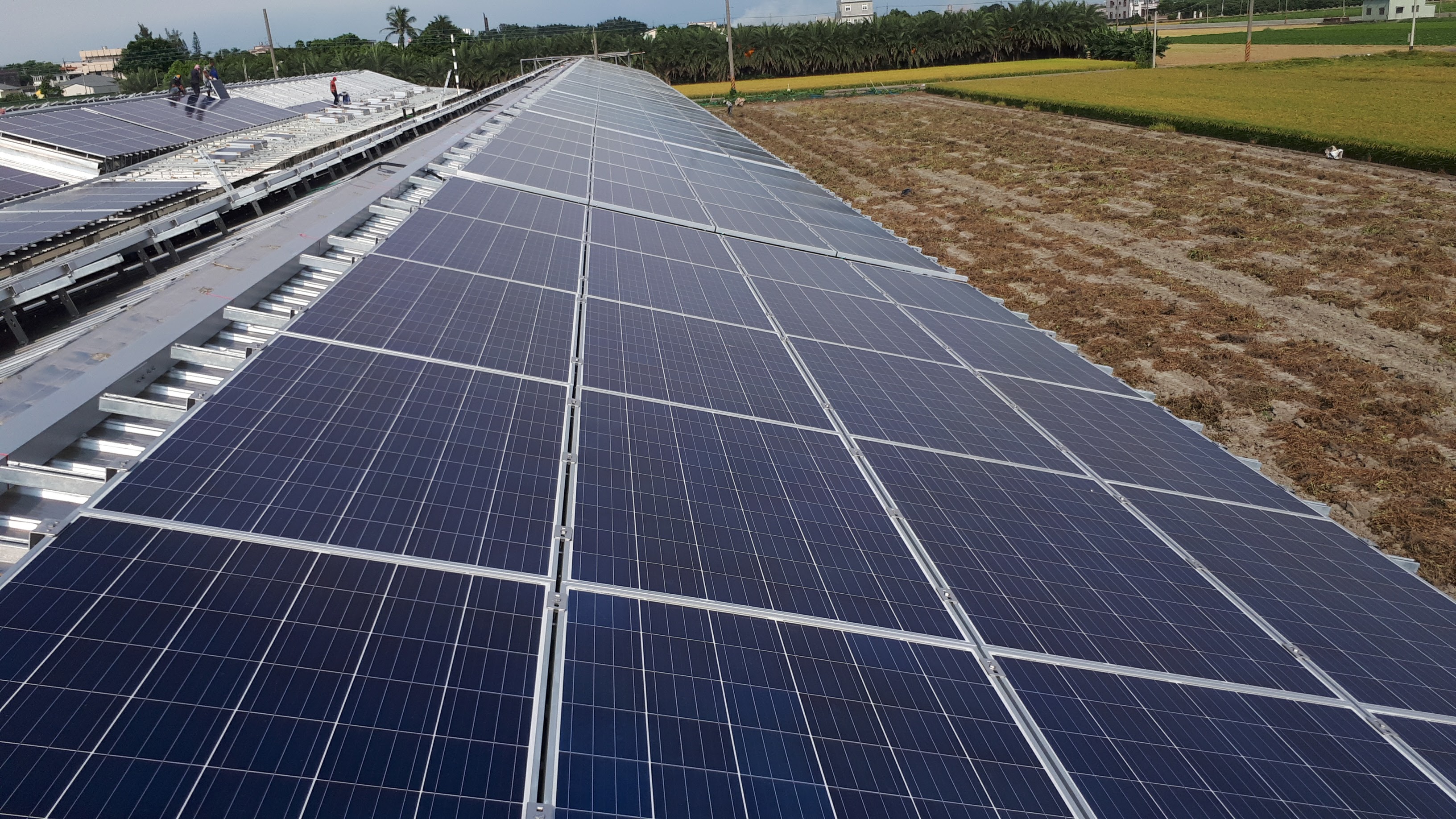 水林牛挑灣豬舍太陽能-8