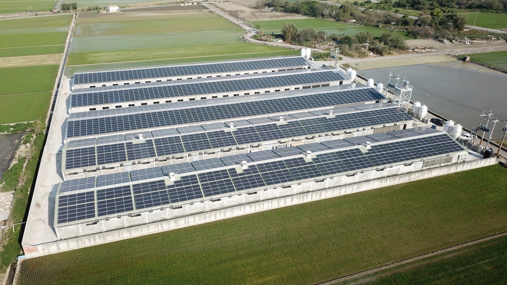 元長龍岩村雞舍太陽能-1