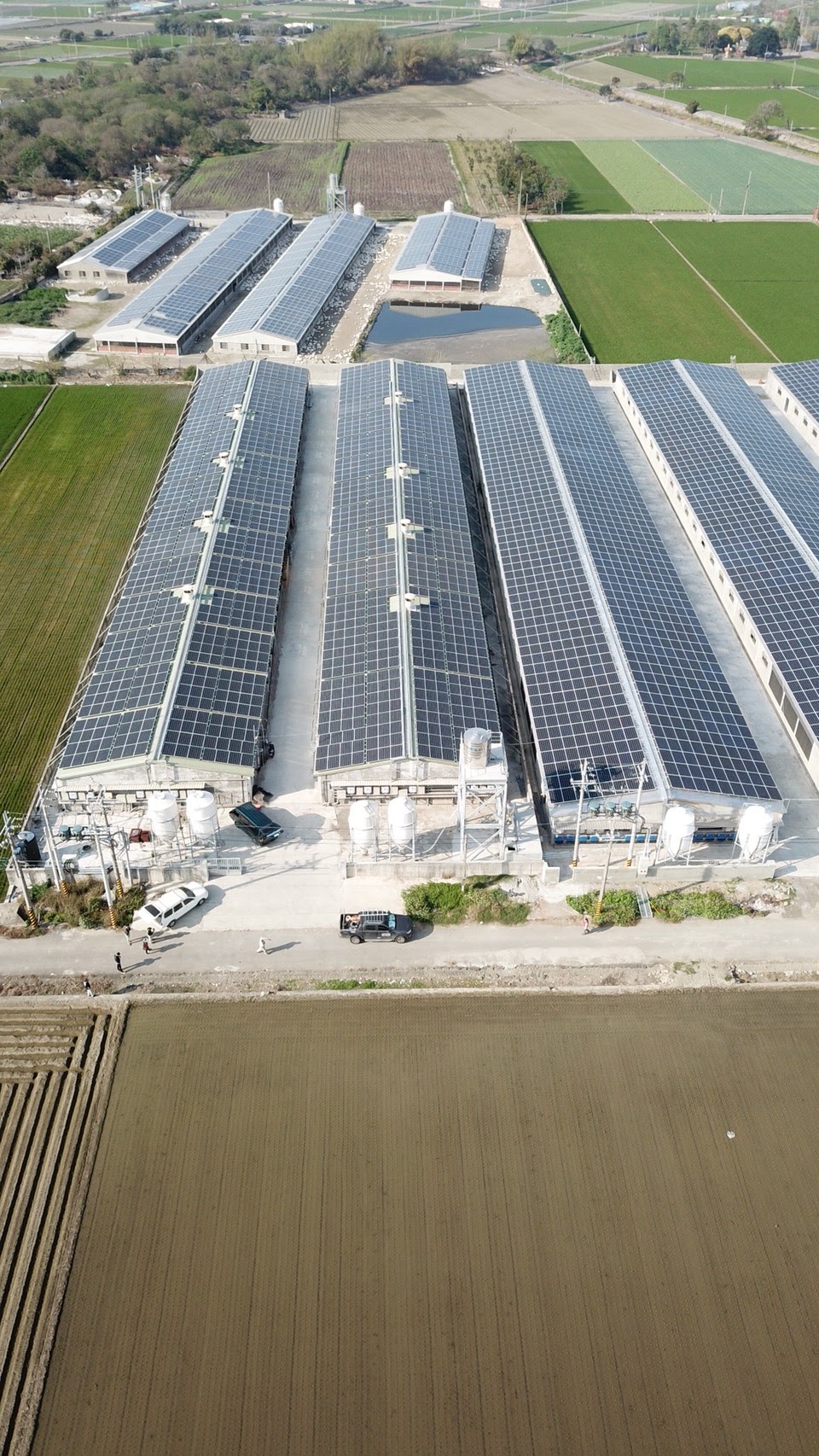 元長龍岩村雞舍太陽能-4