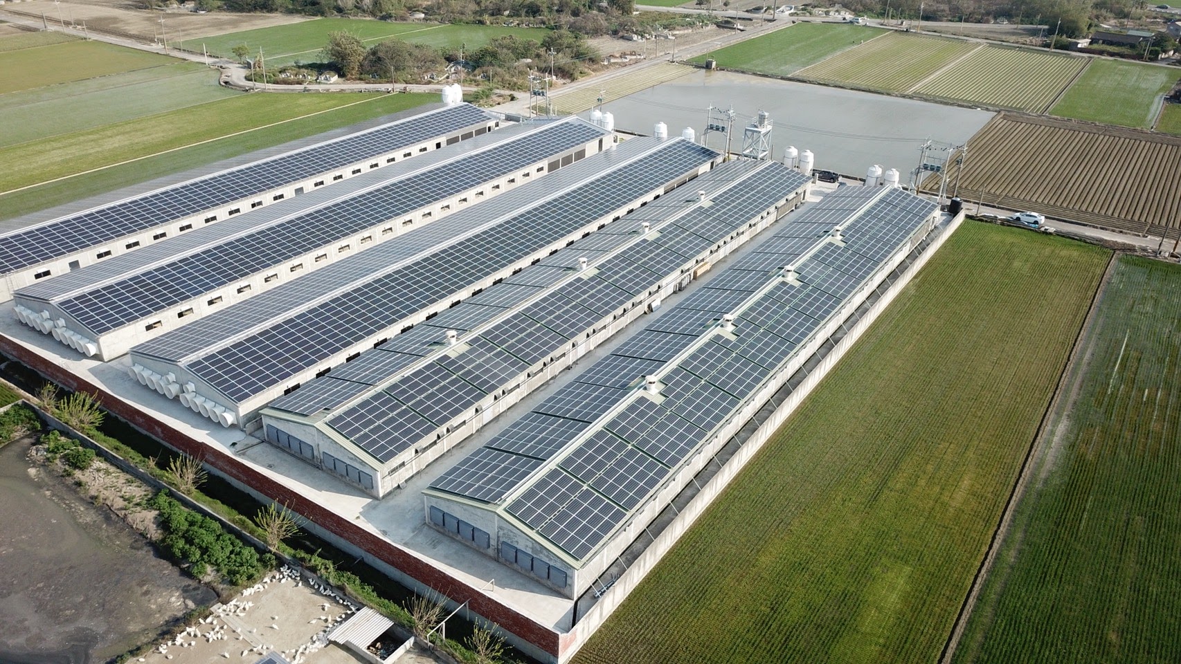 元長龍岩村雞舍太陽能-2