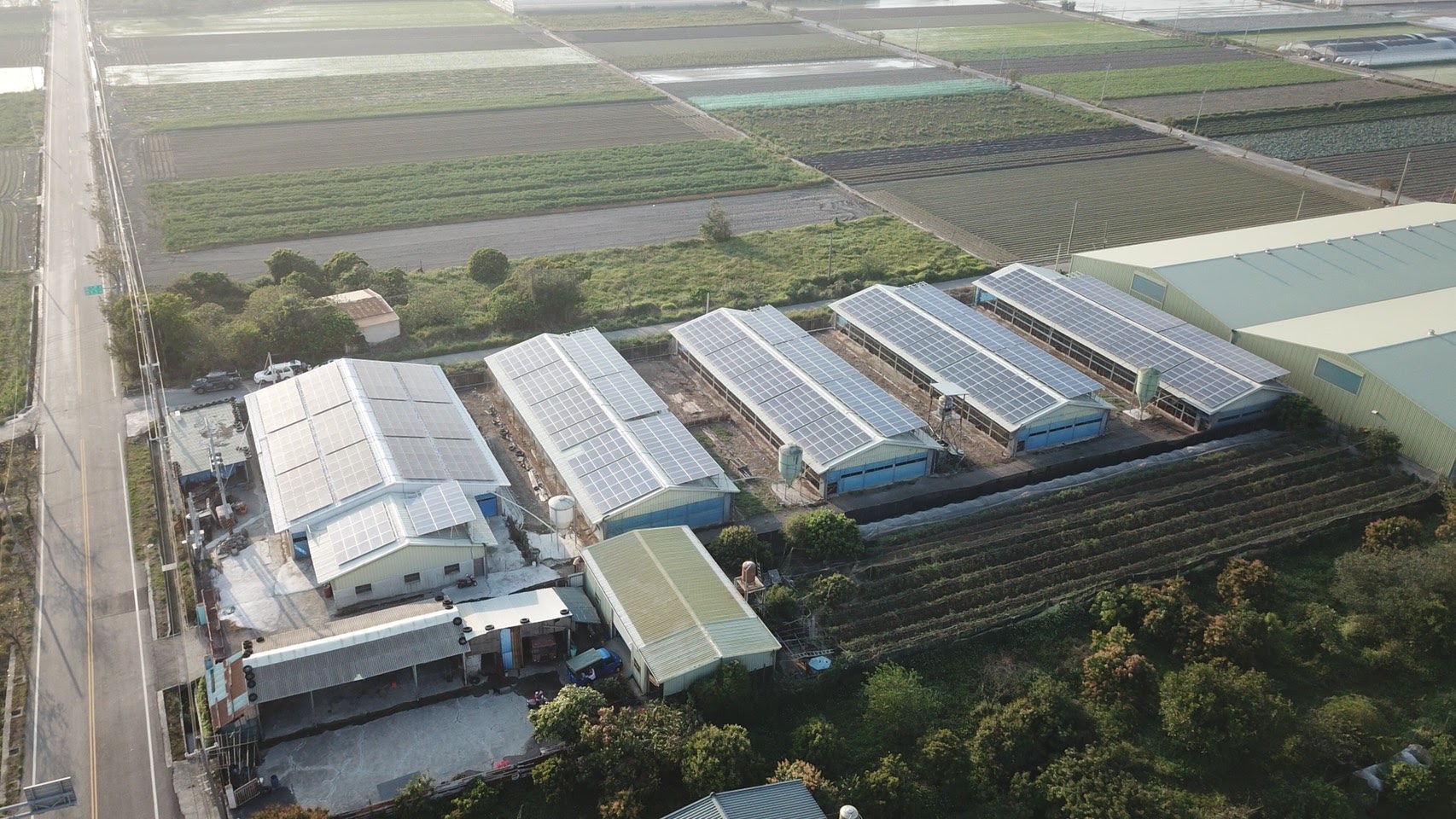 新港溪北雞舍太陽能-3