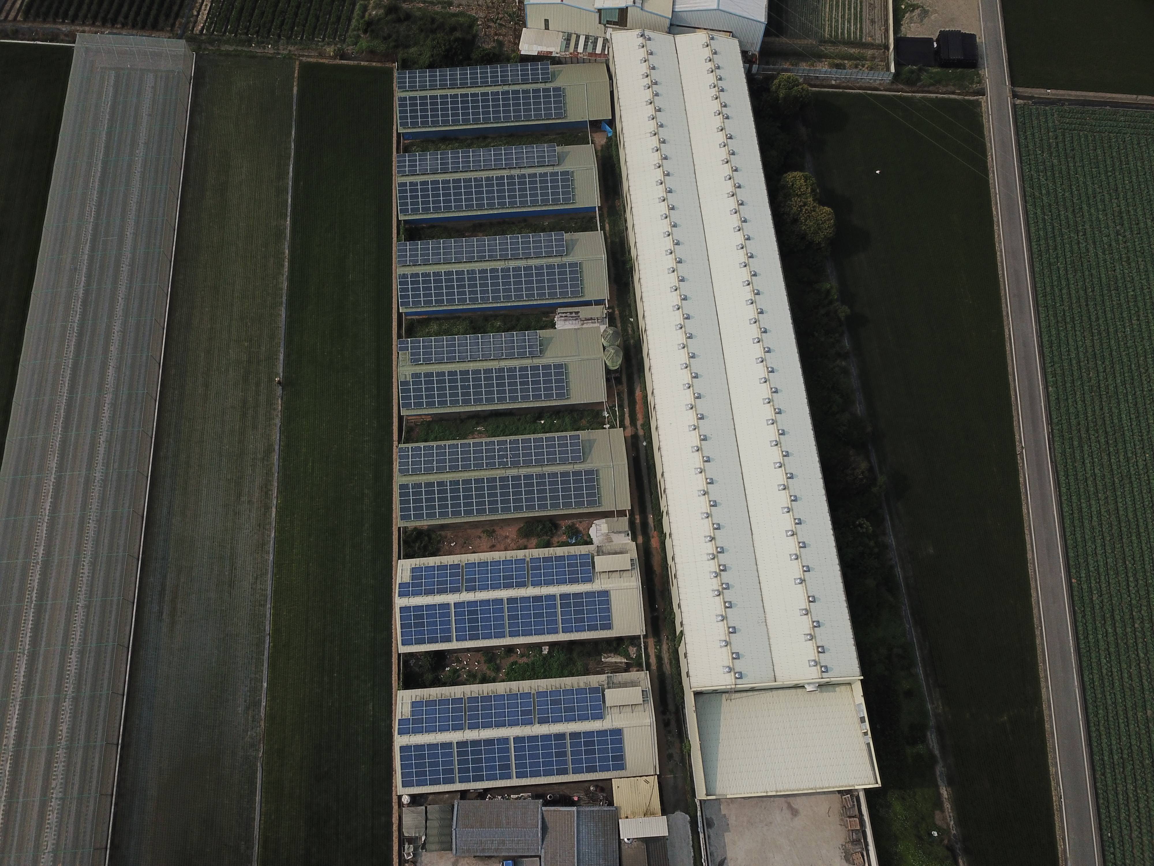 莿桐雞舍太陽能-1