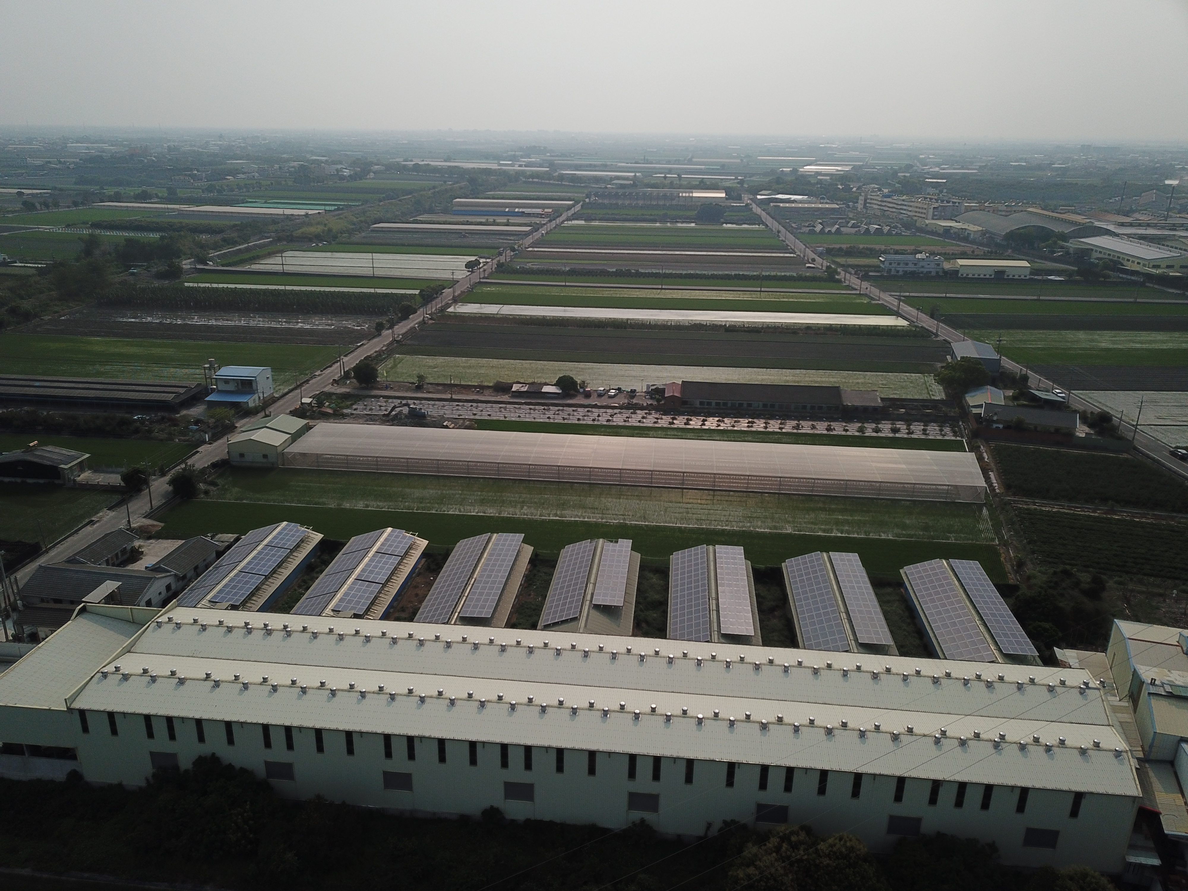 莿桐雞舍太陽能-4