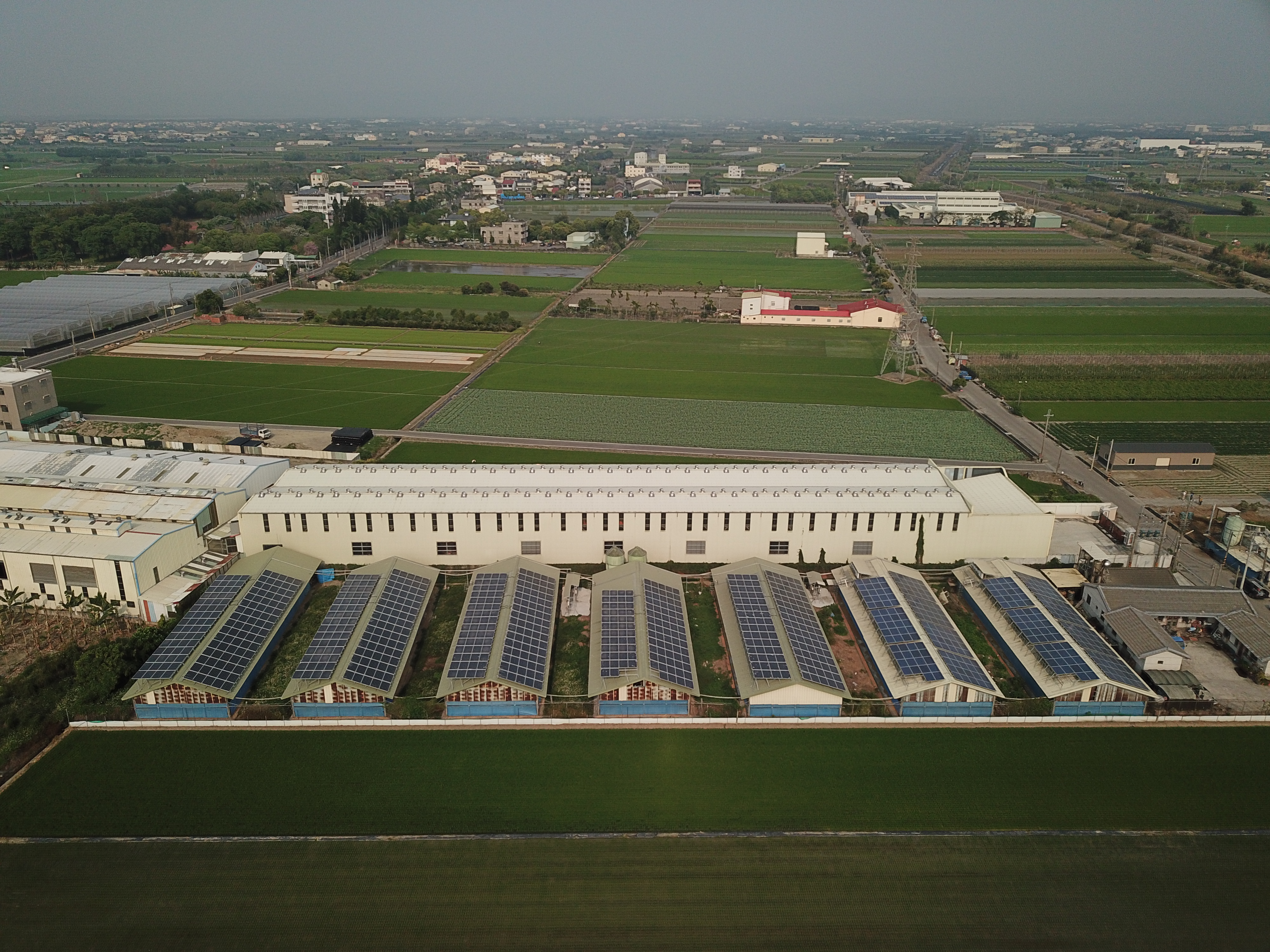 莿桐雞舍太陽能-6