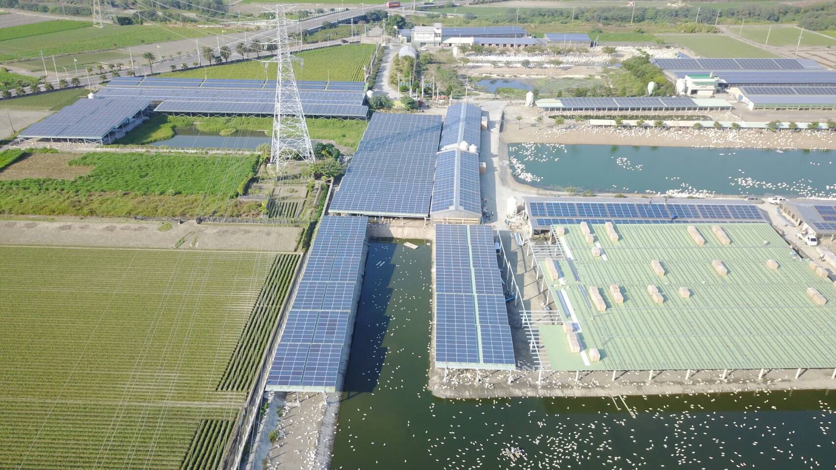 四湖-芳源196號太陽能-2