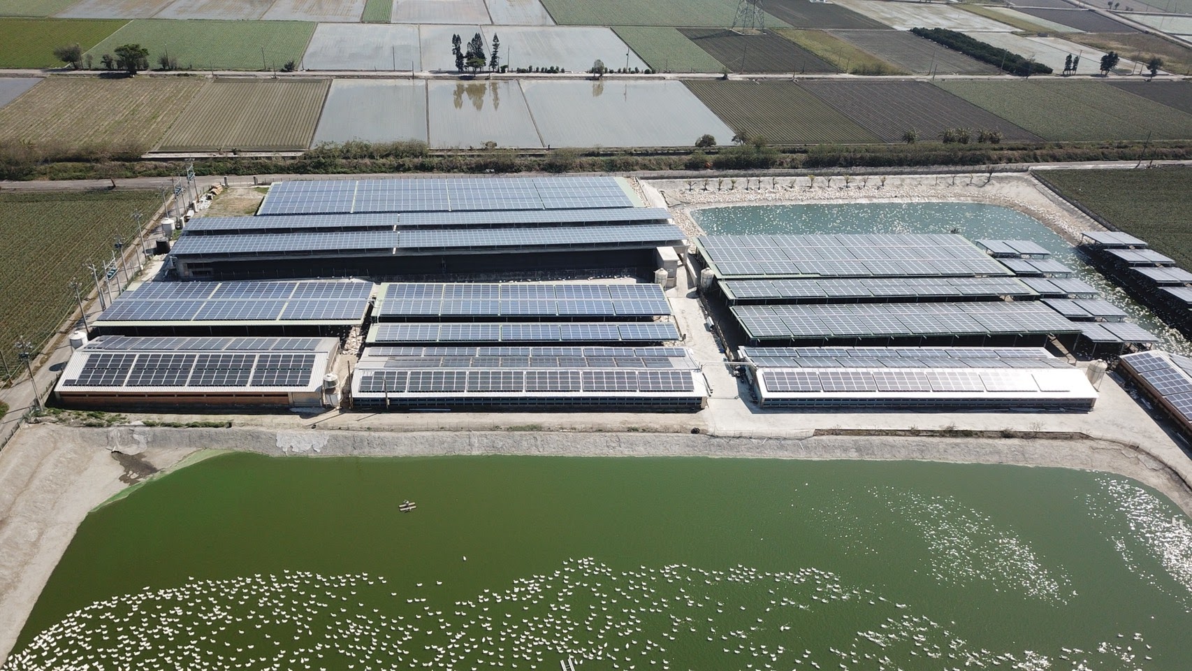 四湖-芳源196號太陽能-3