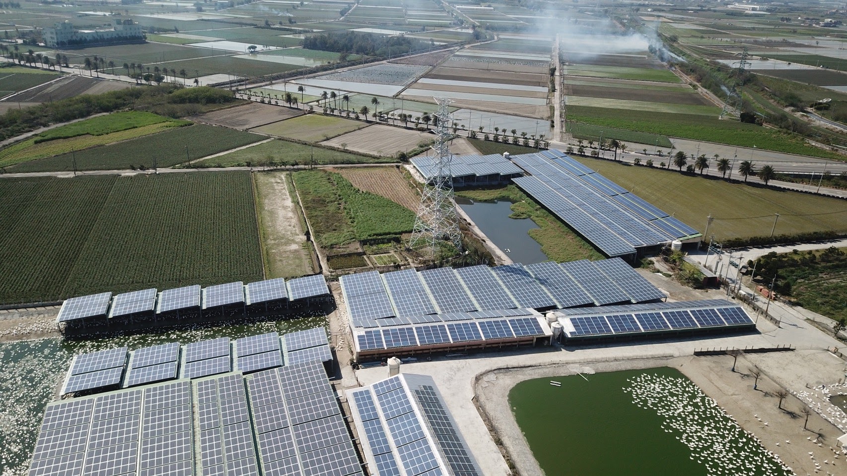 四湖-芳源196號太陽能-4