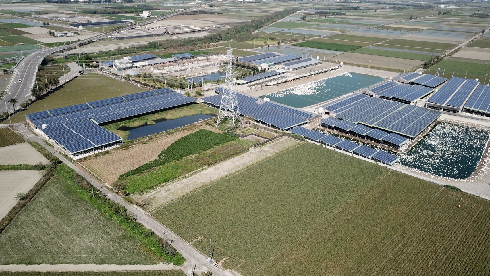 四湖-芳源196號太陽能-5