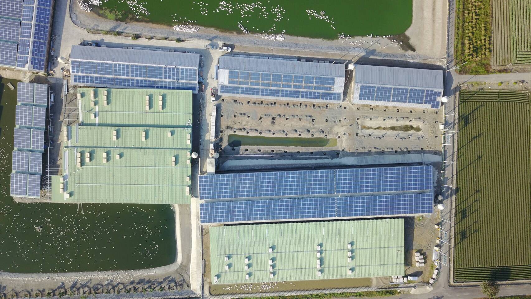 四湖-芳源198號太陽能-1