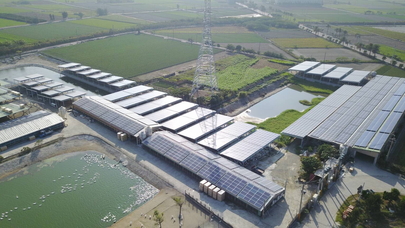 四湖-芳源198號太陽能-2