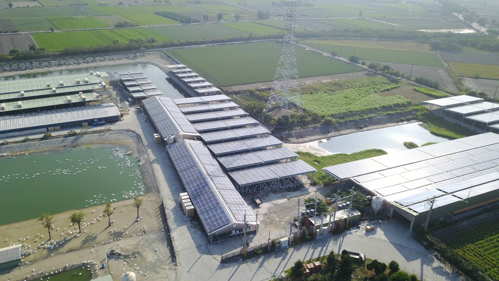 四湖-芳源198號太陽能-3