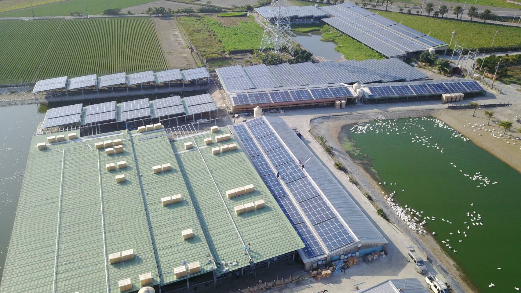 四湖-芳源198號太陽能-4