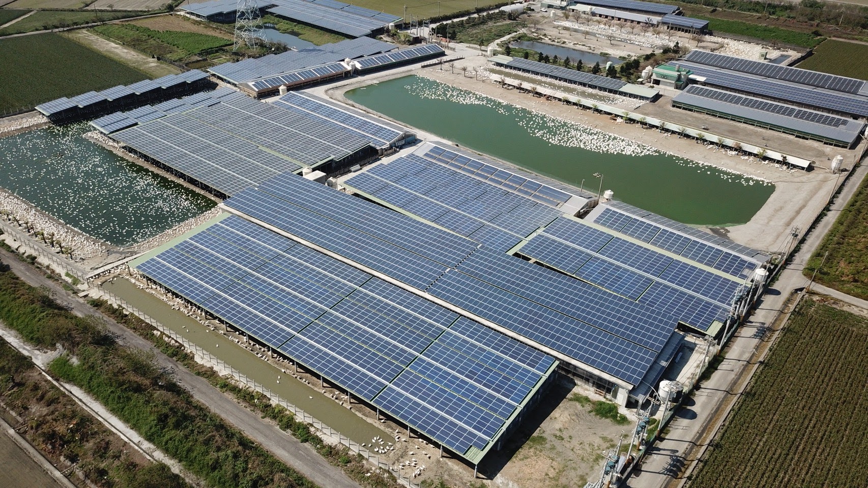 四湖-芳源198號太陽能-5