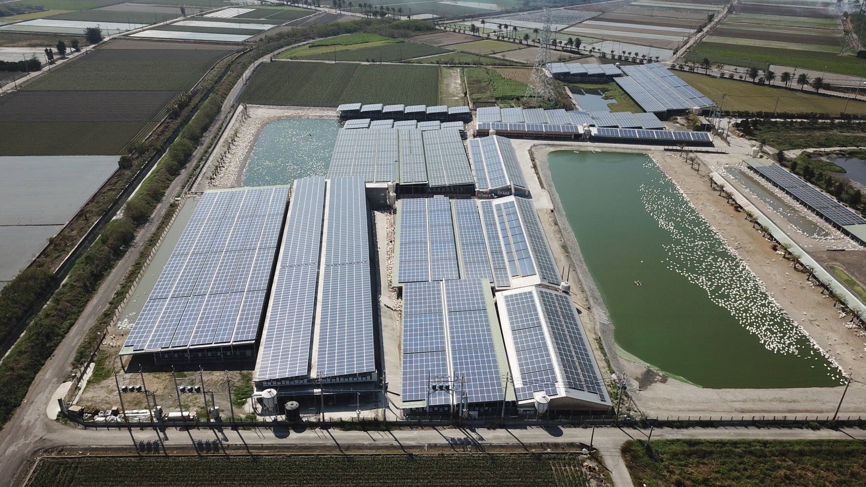 四湖-芳源198號太陽能-6