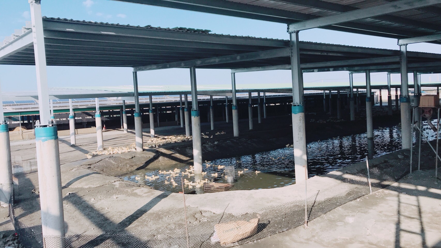 四湖-芳源198號太陽能-7