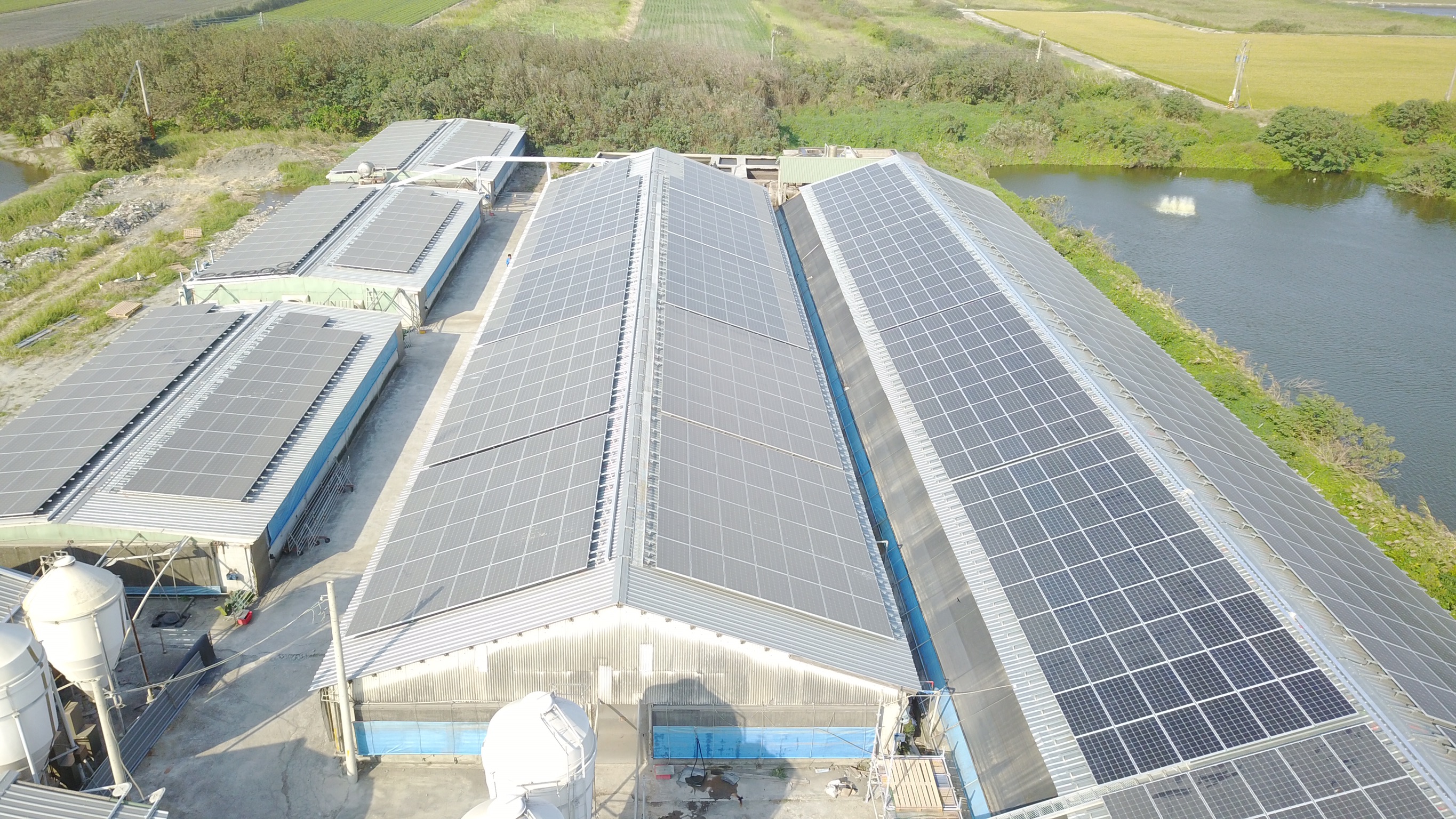 麥寮-三盛村豬舍太陽能-3