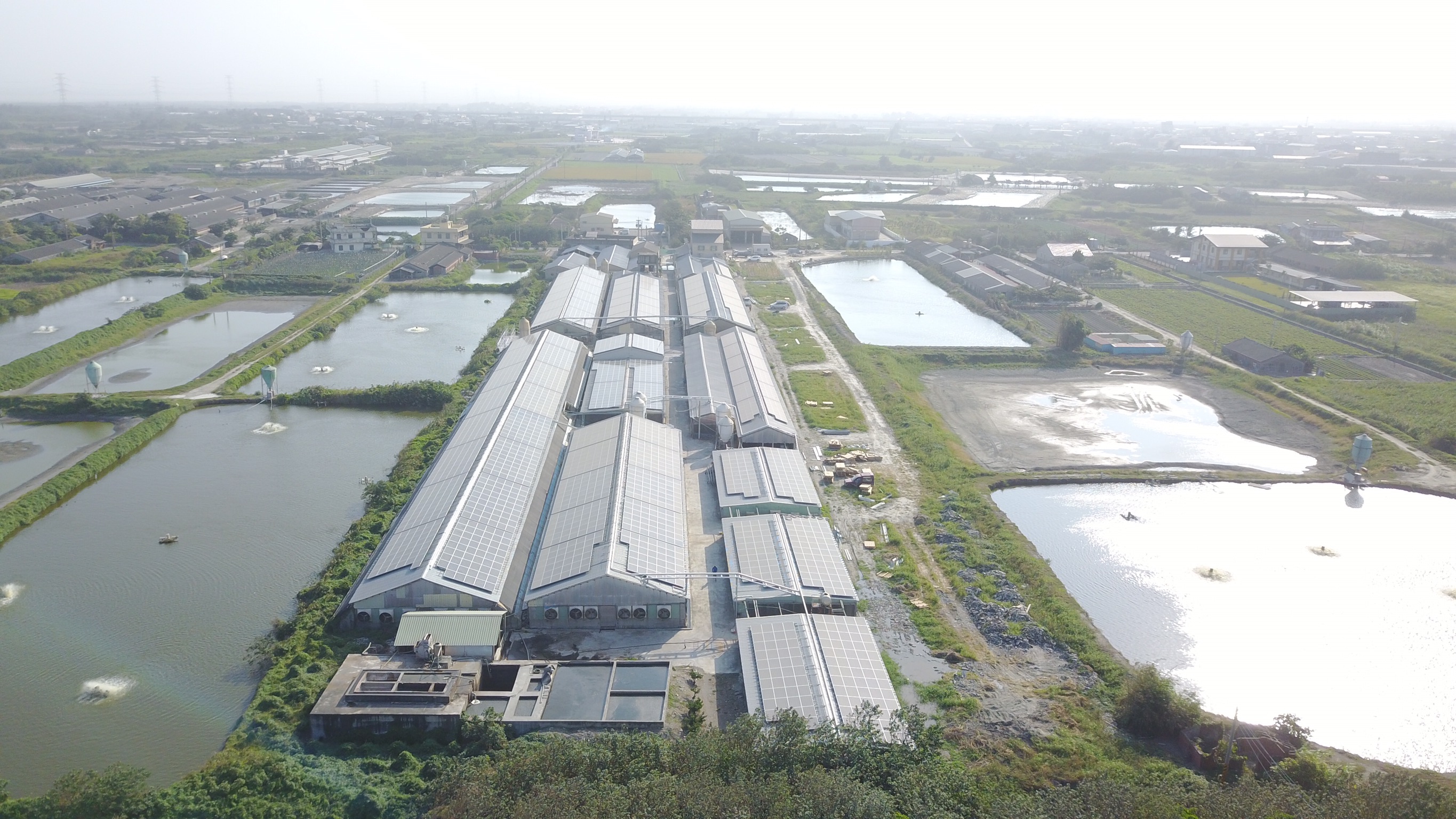 麥寮-三盛村豬舍太陽能-1