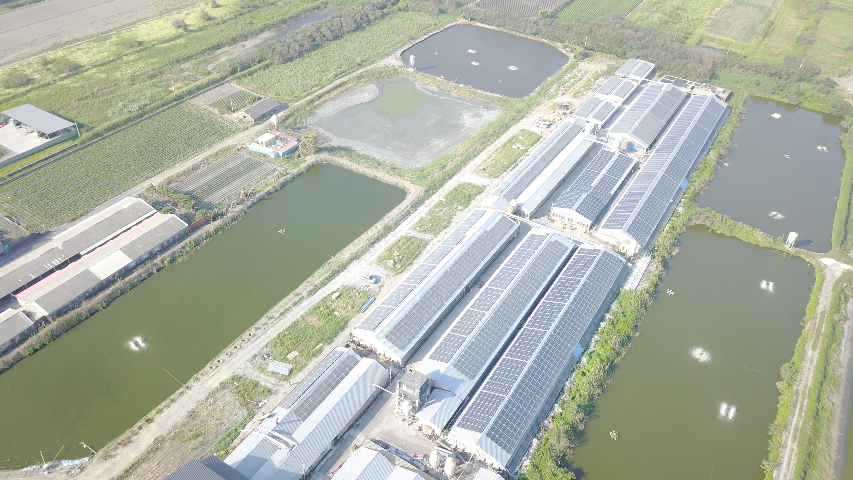 麥寮-三盛村豬舍太陽能-6