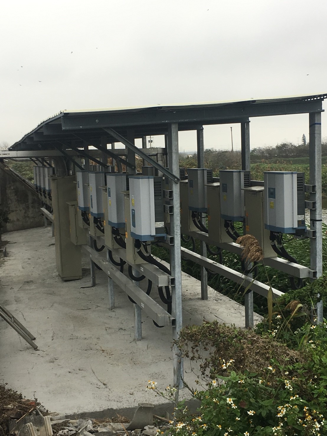 麥寮-三盛村豬舍太陽能-14